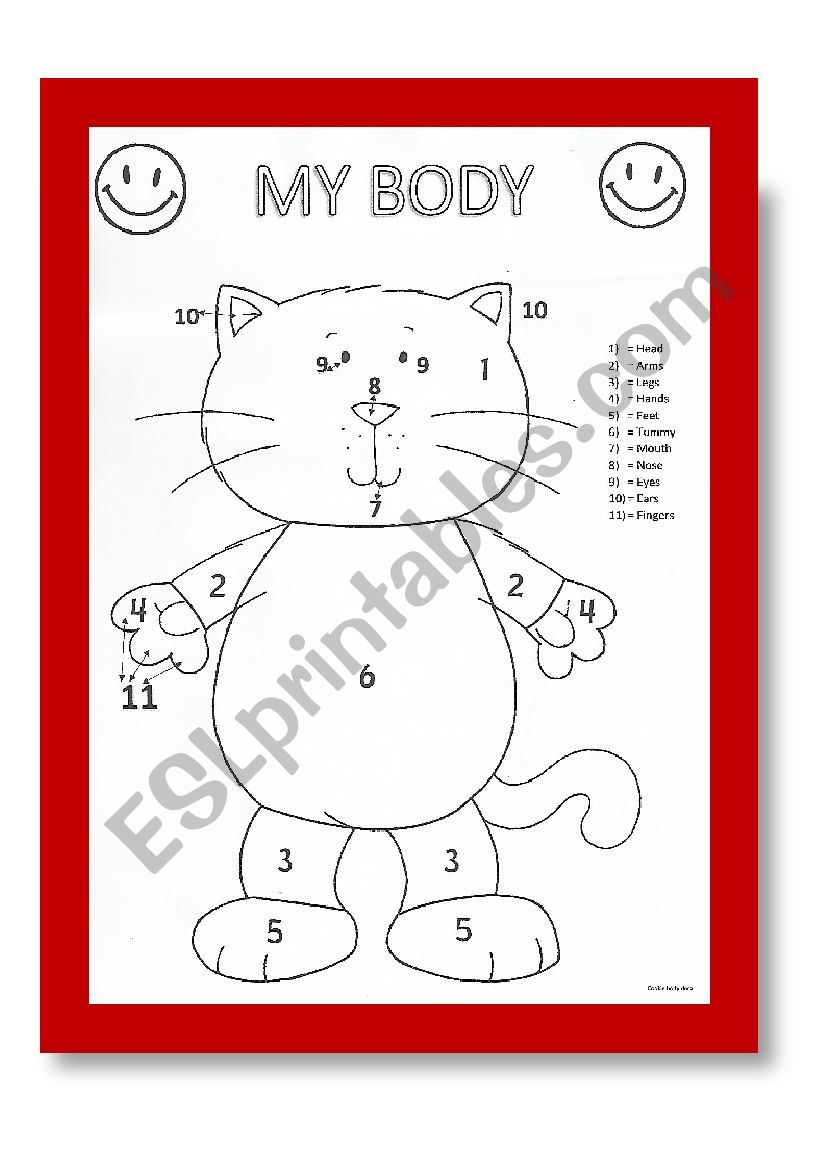 My body worksheet