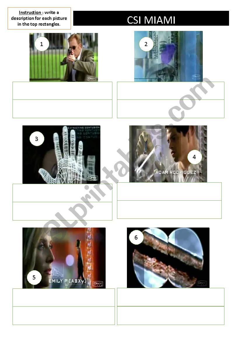 CSI : Miami  worksheet