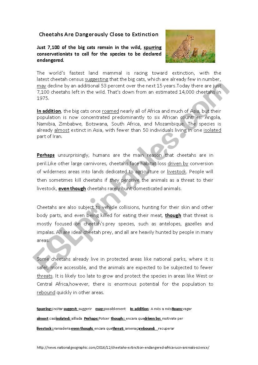 Animals in danger: Cheetahs worksheet