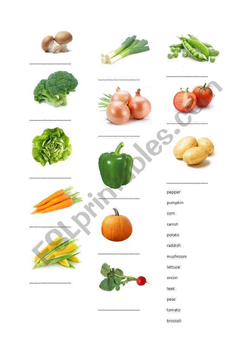 Vegetables worksheet