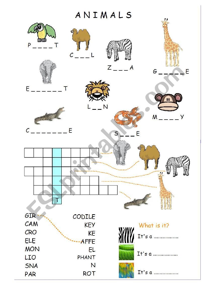 Animals worksheet