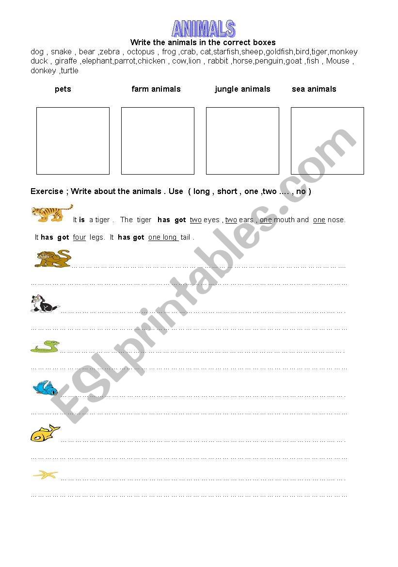 animals -3 worksheet