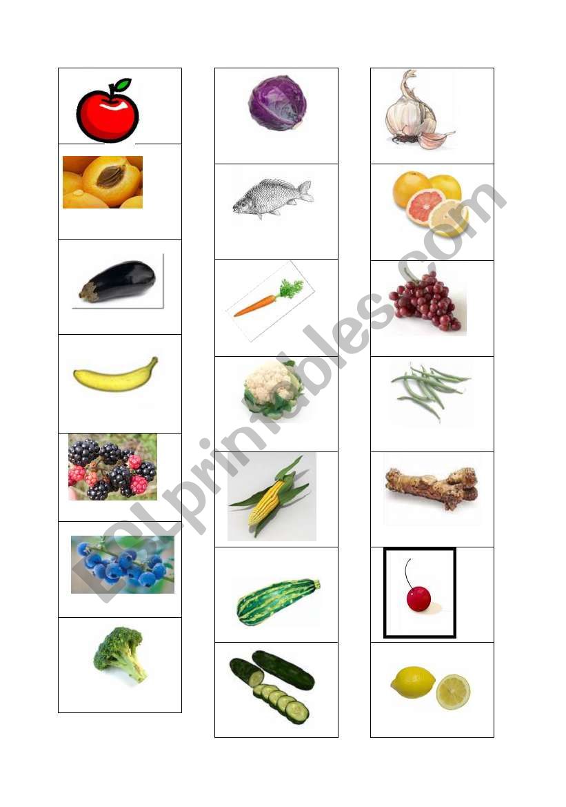 Food worksheet