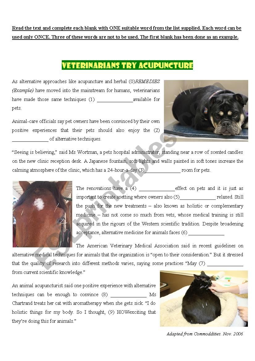 VETERINARIANS TRY ACUPUNCTURE worksheet