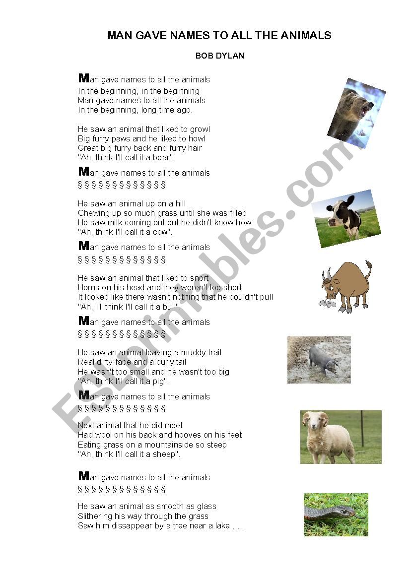 Man gave names to all animals worksheet