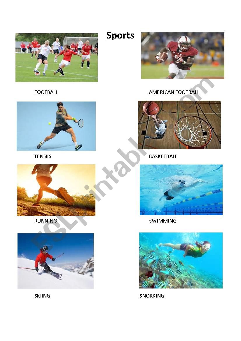 sports worksheet