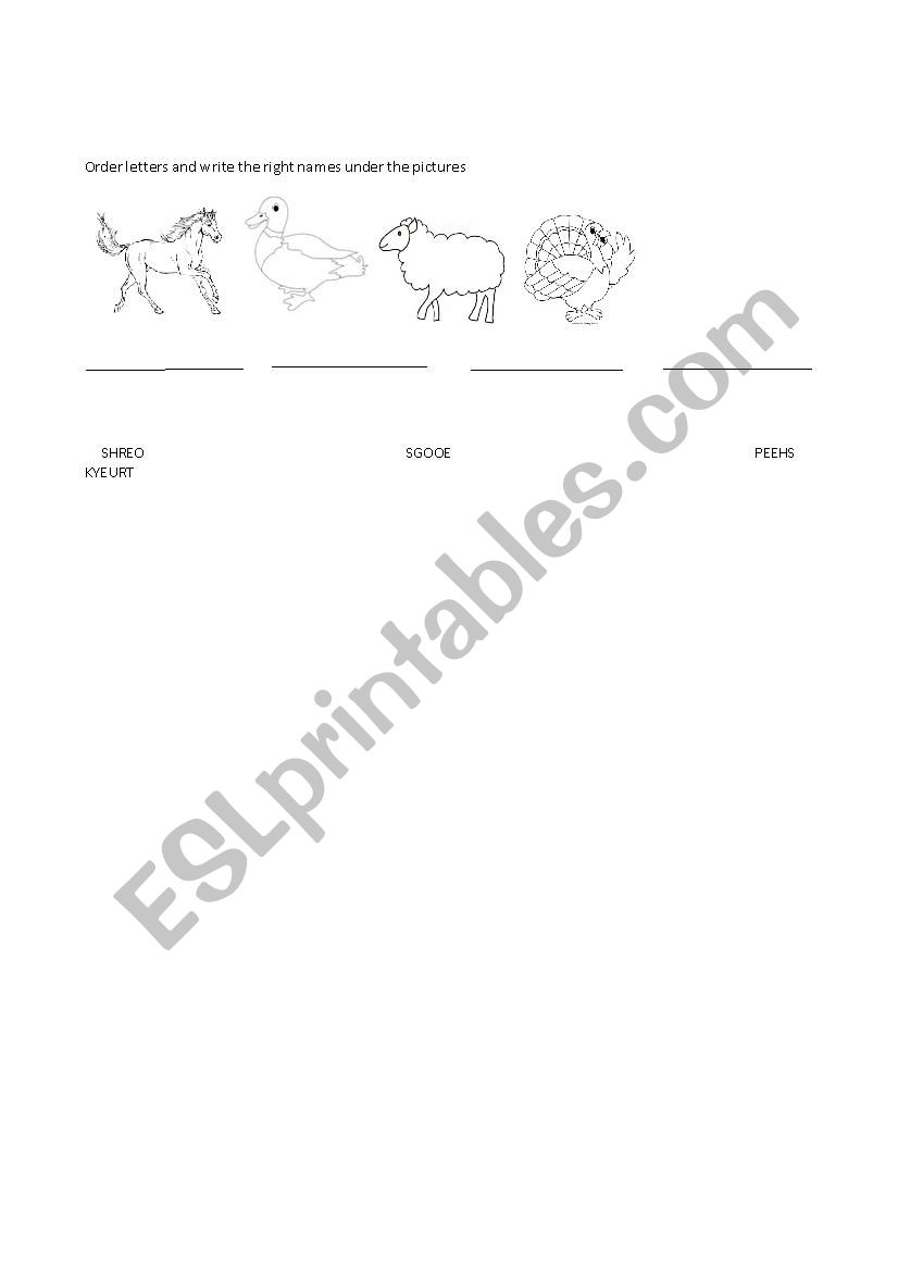 animals worksheet