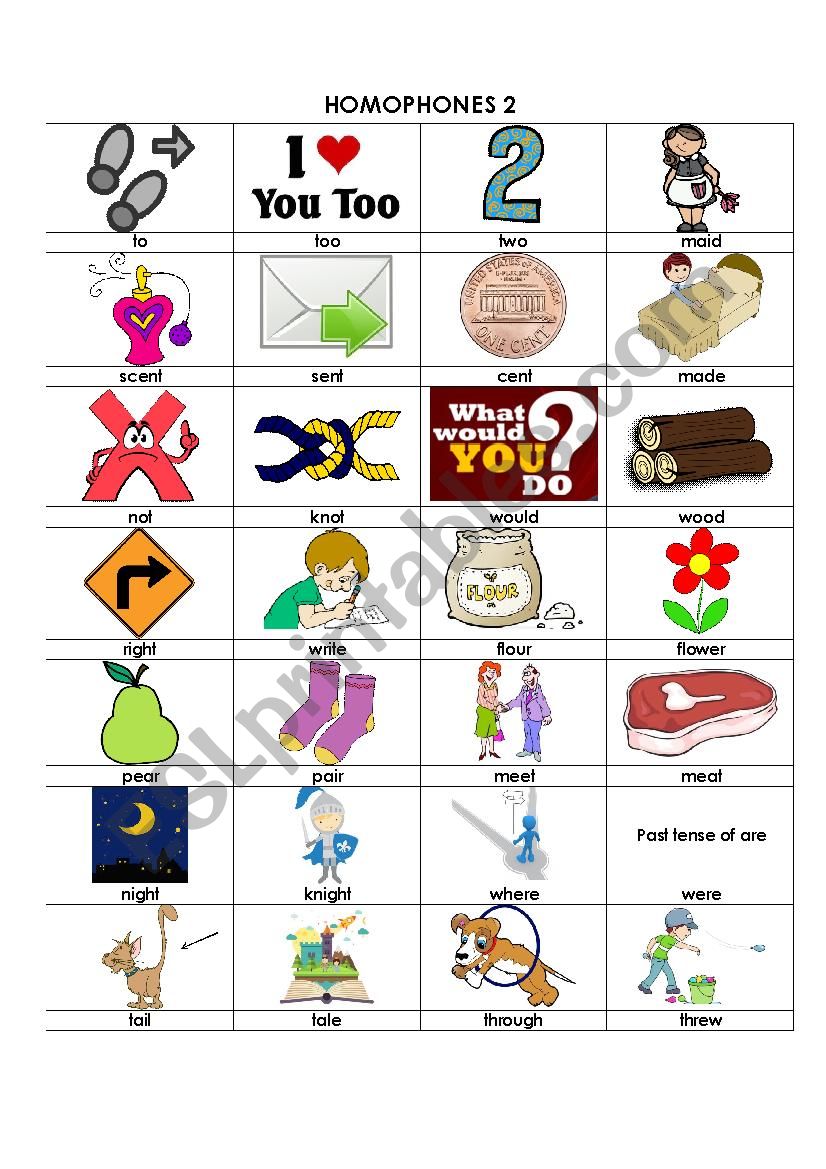 HOMOPHONES 2 worksheet