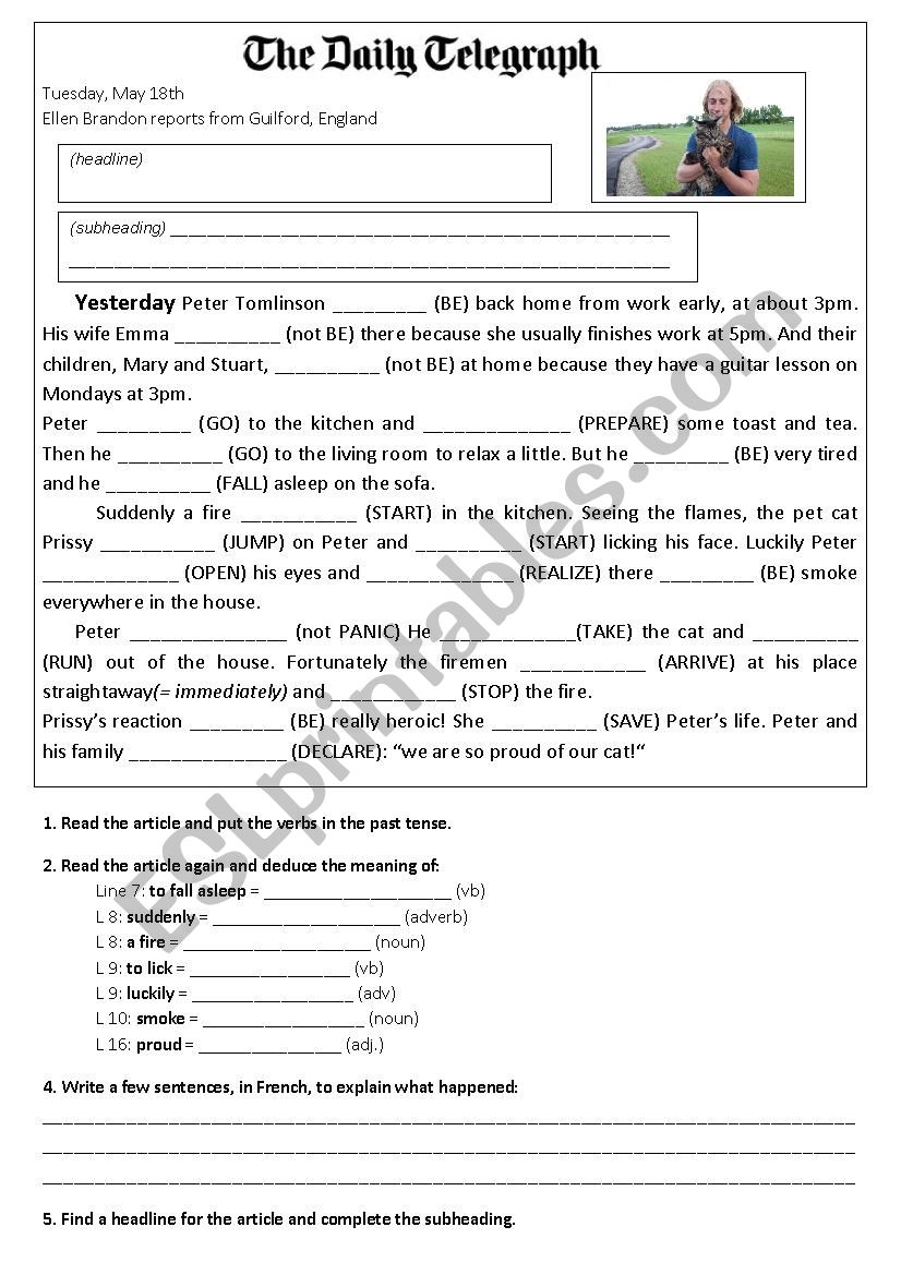 writing a press article worksheet