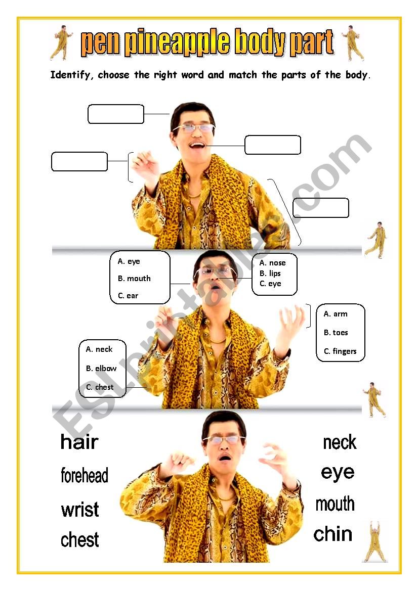 Pen pineapple body part worksheet