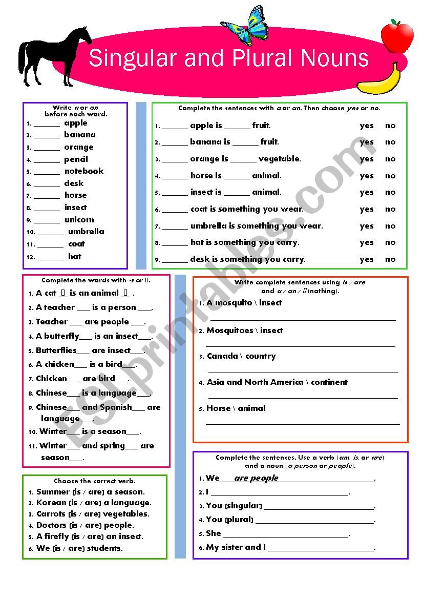 th-standard-singular-and-plural-plural-nouns-worksheet-ordinary