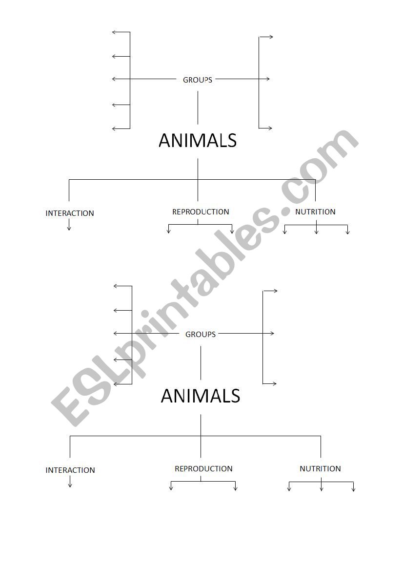 Animals scheme worksheet