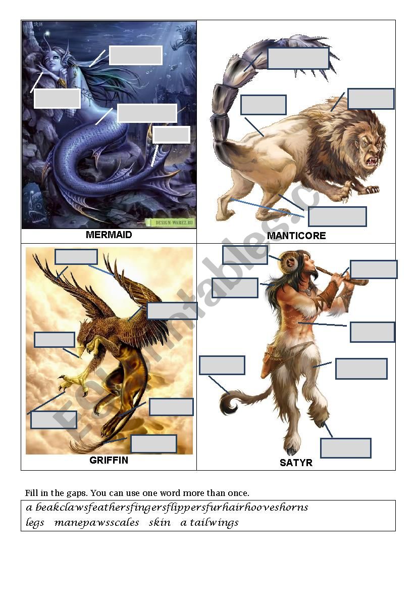 Parts of body (creatures) worksheet
