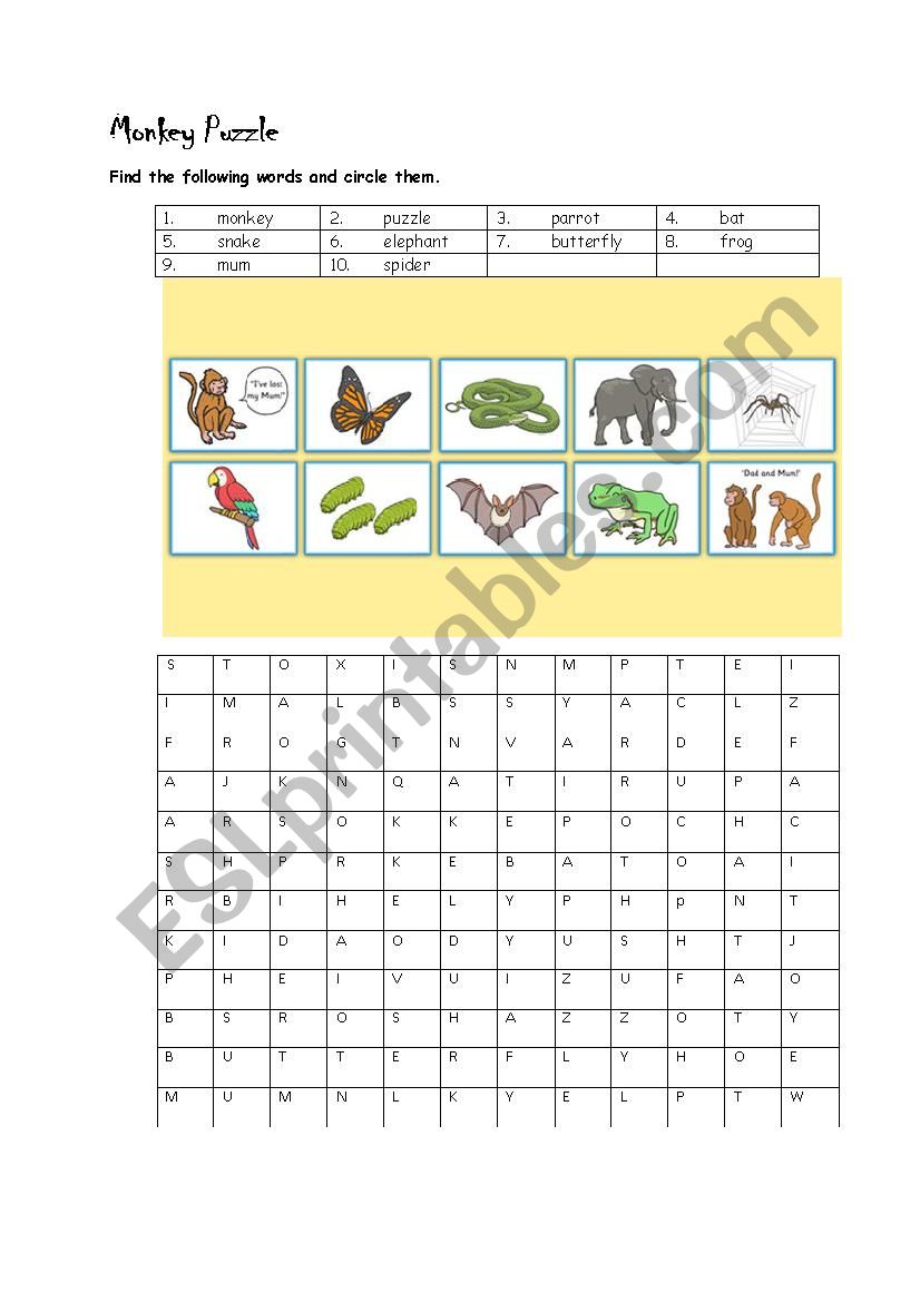 Monkey Puzzle  worksheet