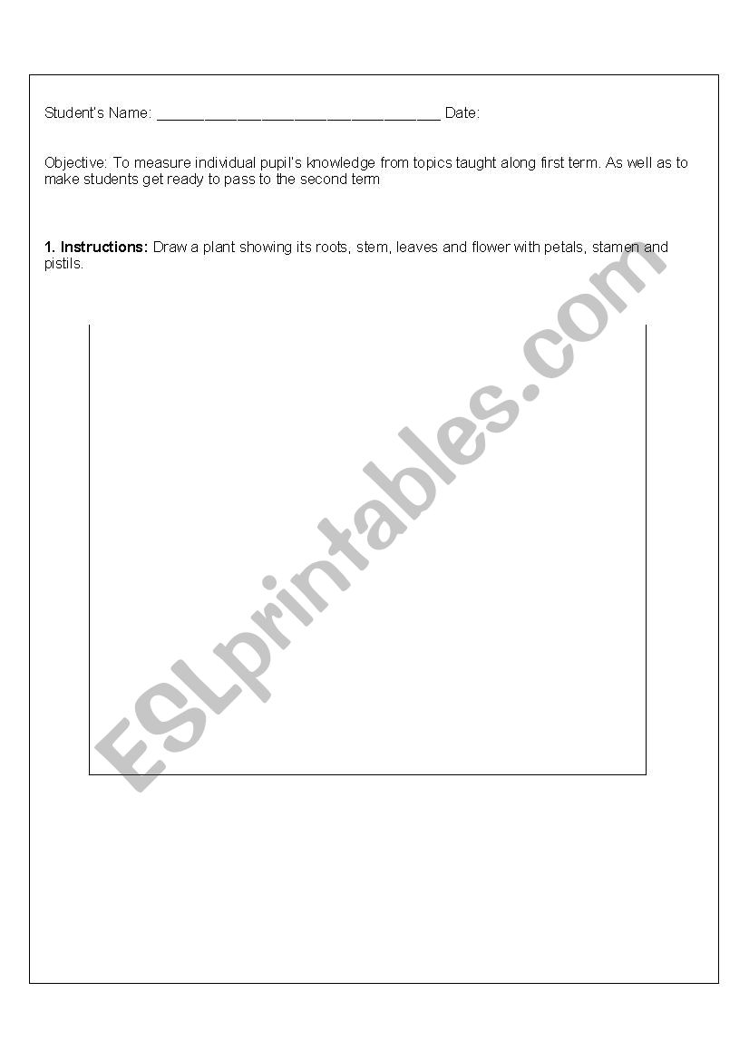Science worksheet