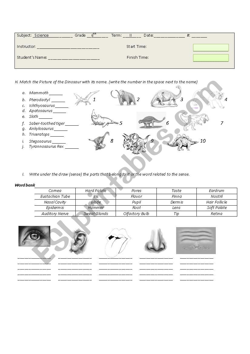 science Dinosaurs worksheet