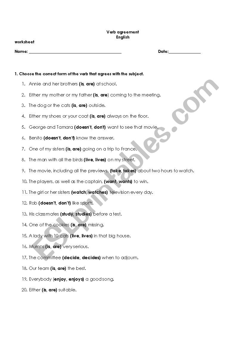 Verb Agreement worksheet