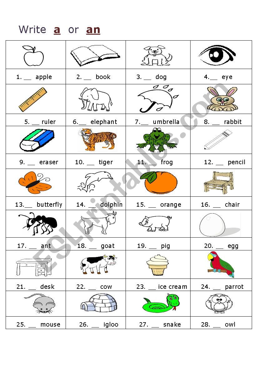 indefinite articles worksheet