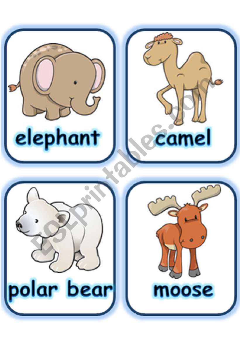  FLASHCARD SET 3- WILD ANIMALS - PART 3