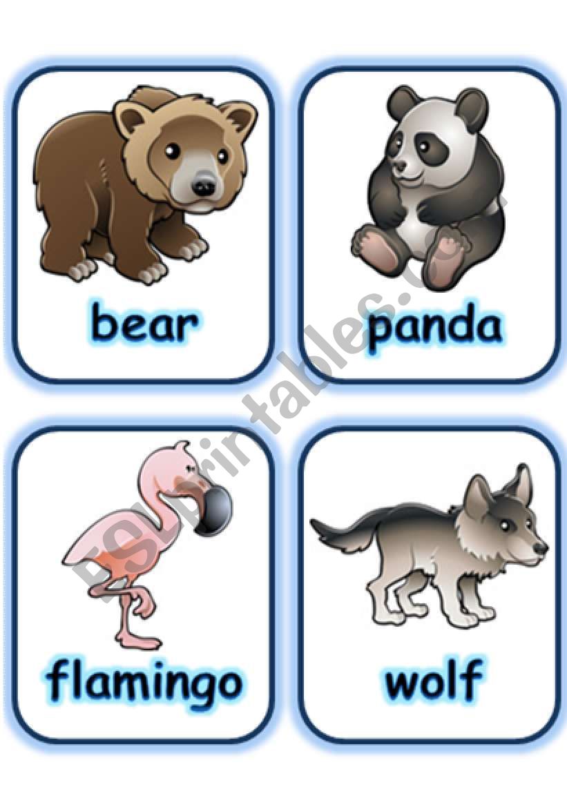  FLASHCARD SET 3- WILD ANIMALS - PART 4