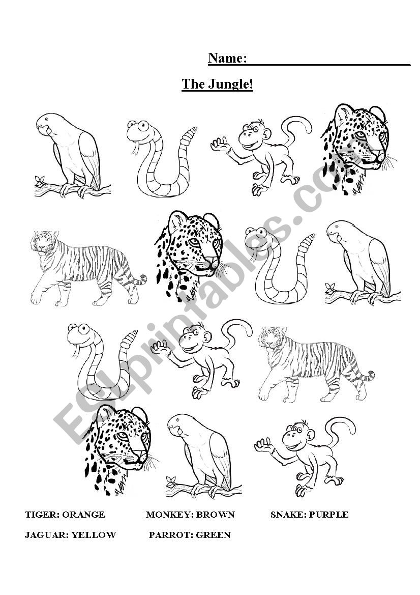 Colour Jungle Animals - ESL worksheet by DaenerysTargaryen28