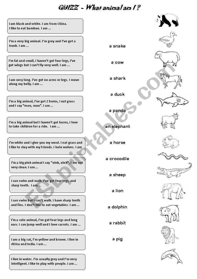 Quizz: animals worksheet