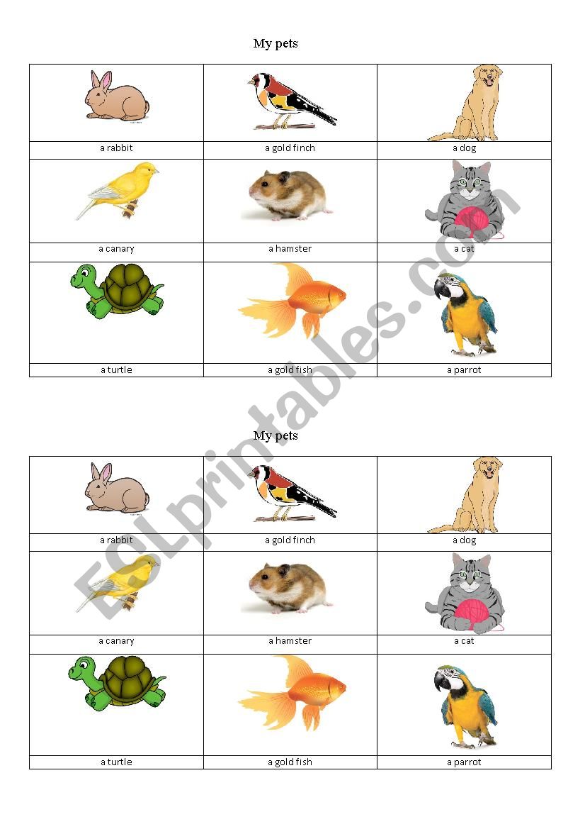 my pets  worksheet