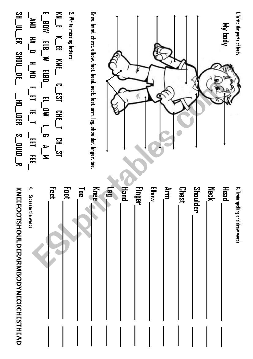 My body worksheet