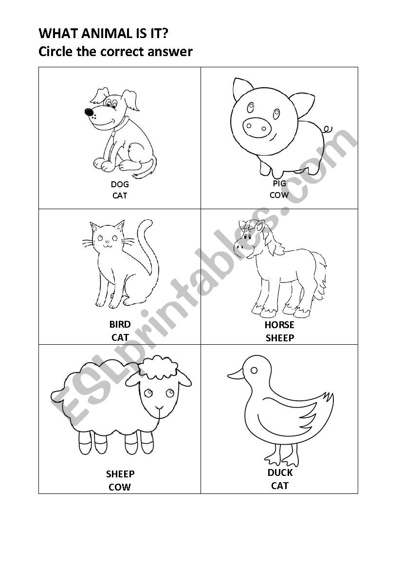 Circle the animal worksheet