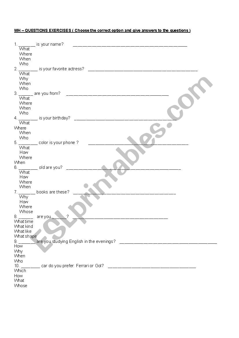 Wh questions worksheet