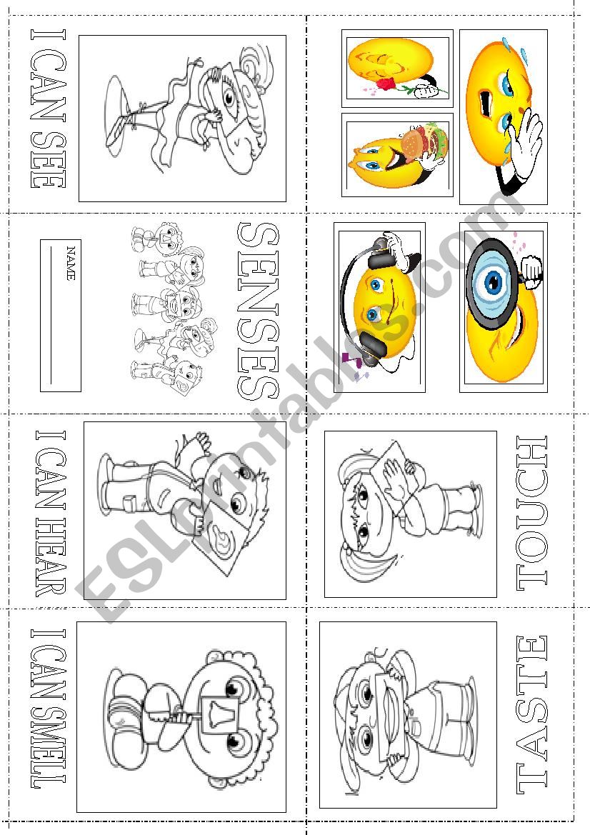 MY SENSES worksheet