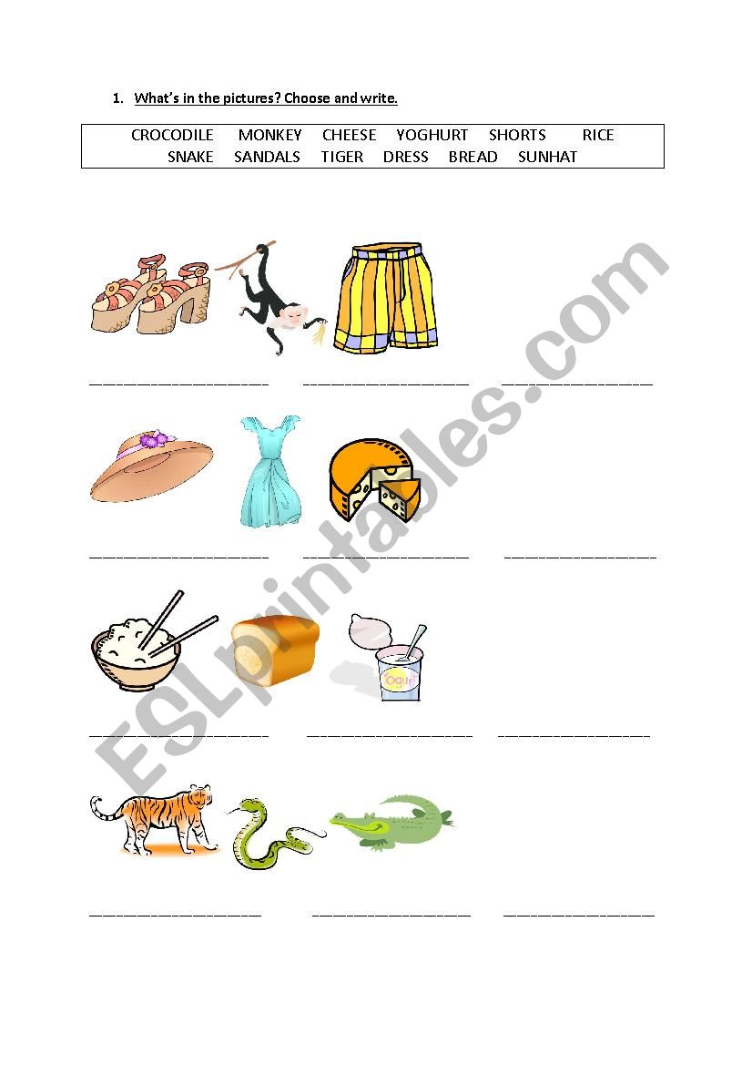 Animals, food, clothes worksheet