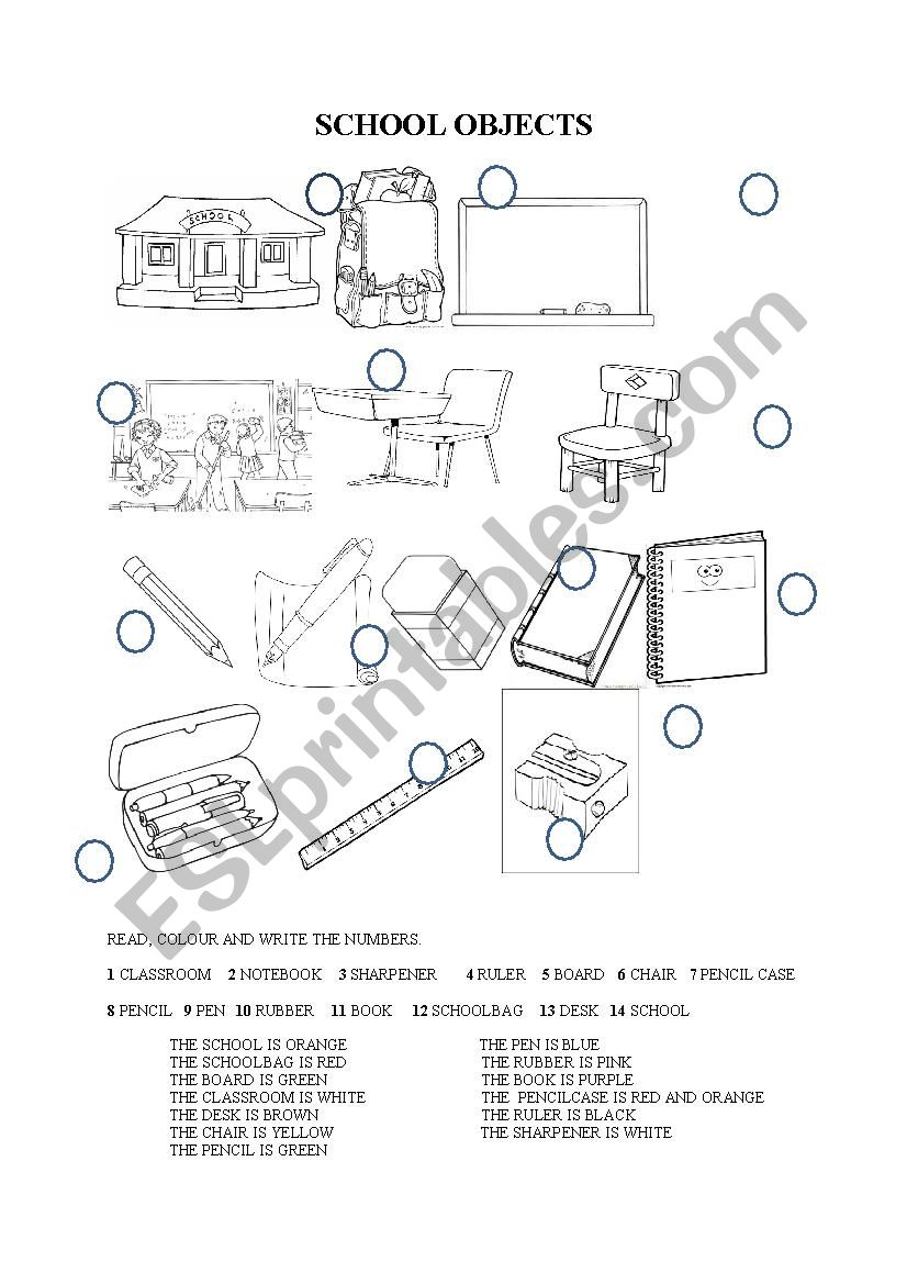 SCHOOL OBJECTS EX. worksheet