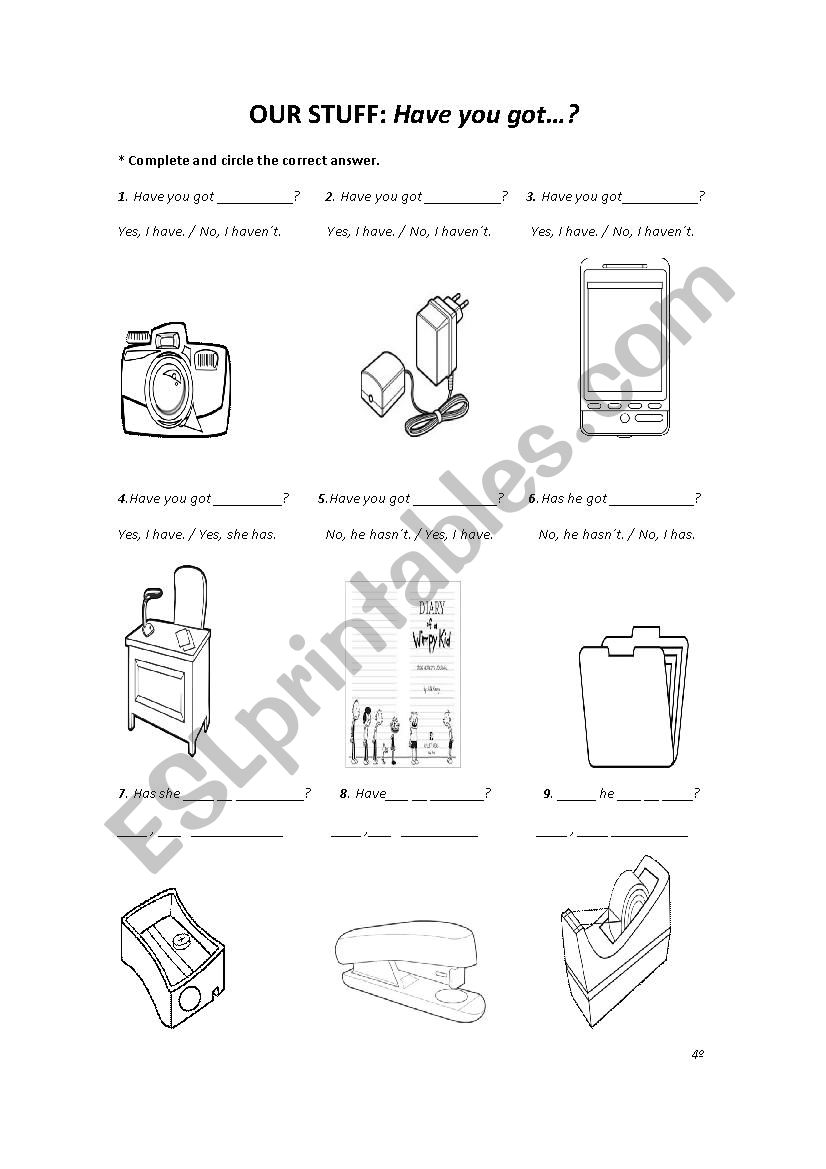 Have you got...? worksheet