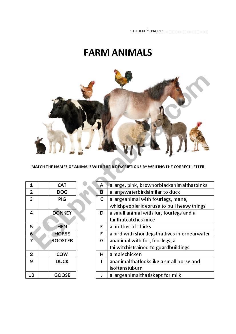 FARM ANIMALS worksheet