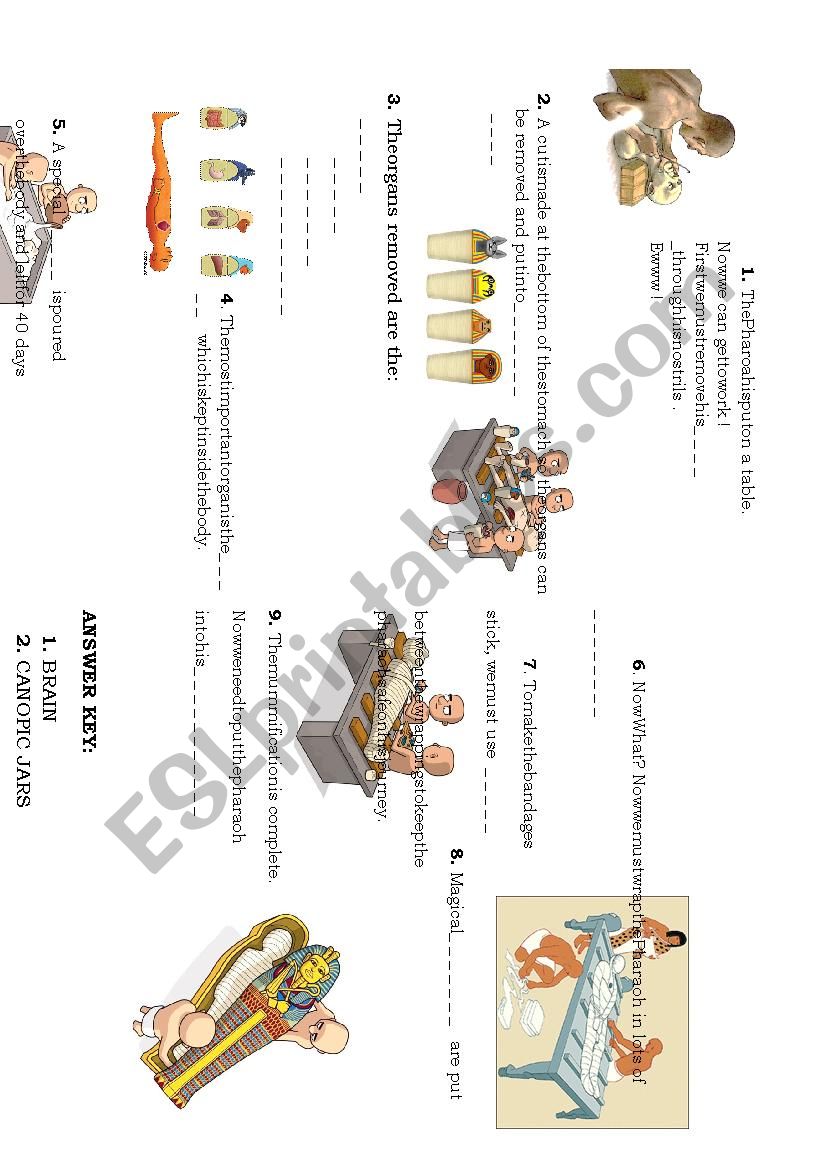 MUMMIFICATION PROCESS  worksheet