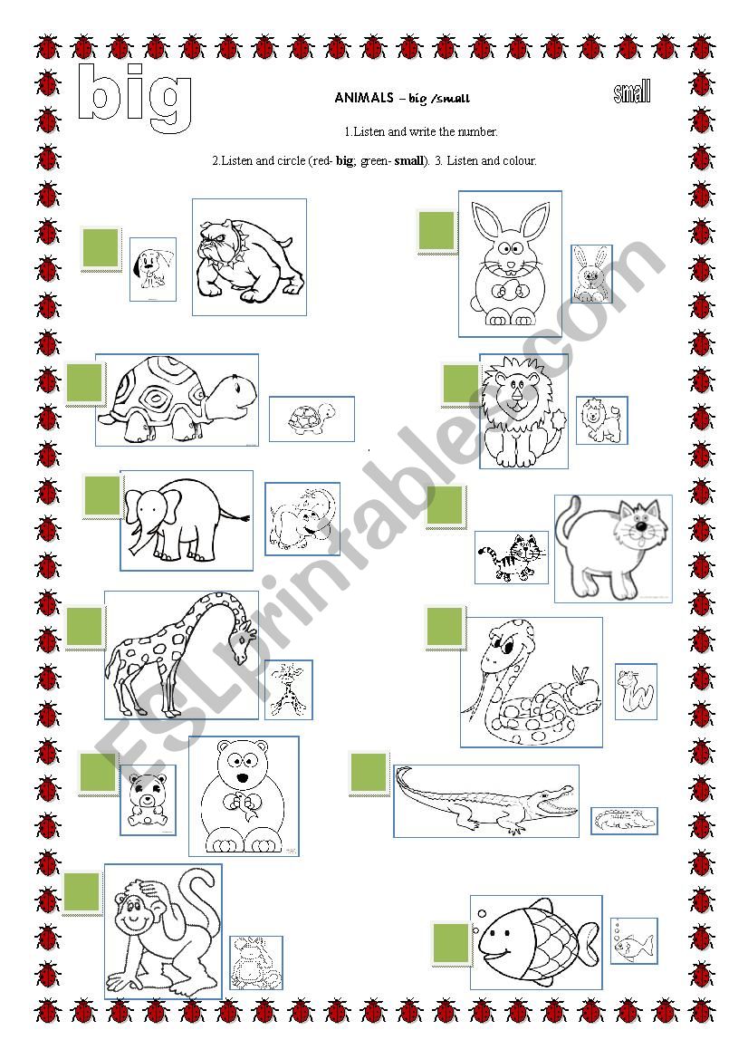 ANIMALS - big or small worksheet