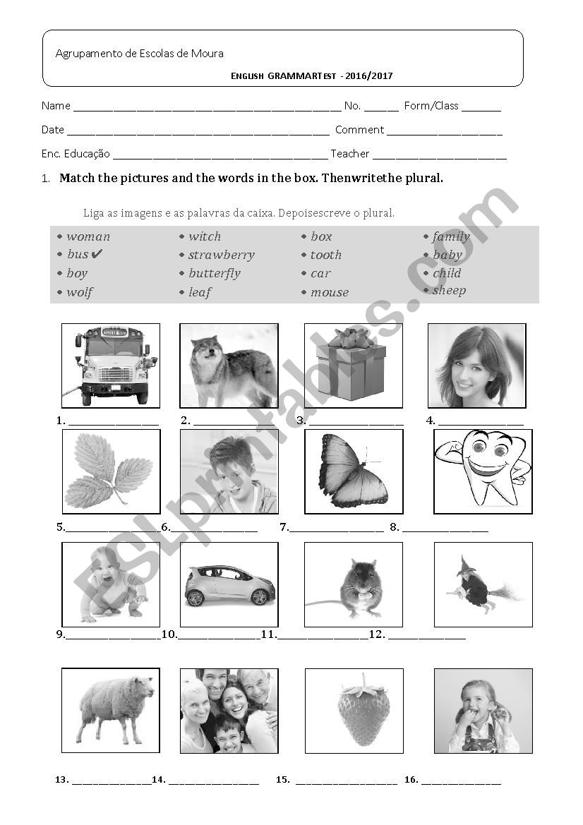 grammar test worksheet