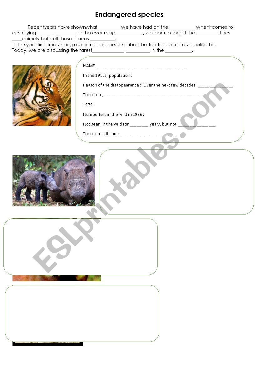 Endangered species worksheet