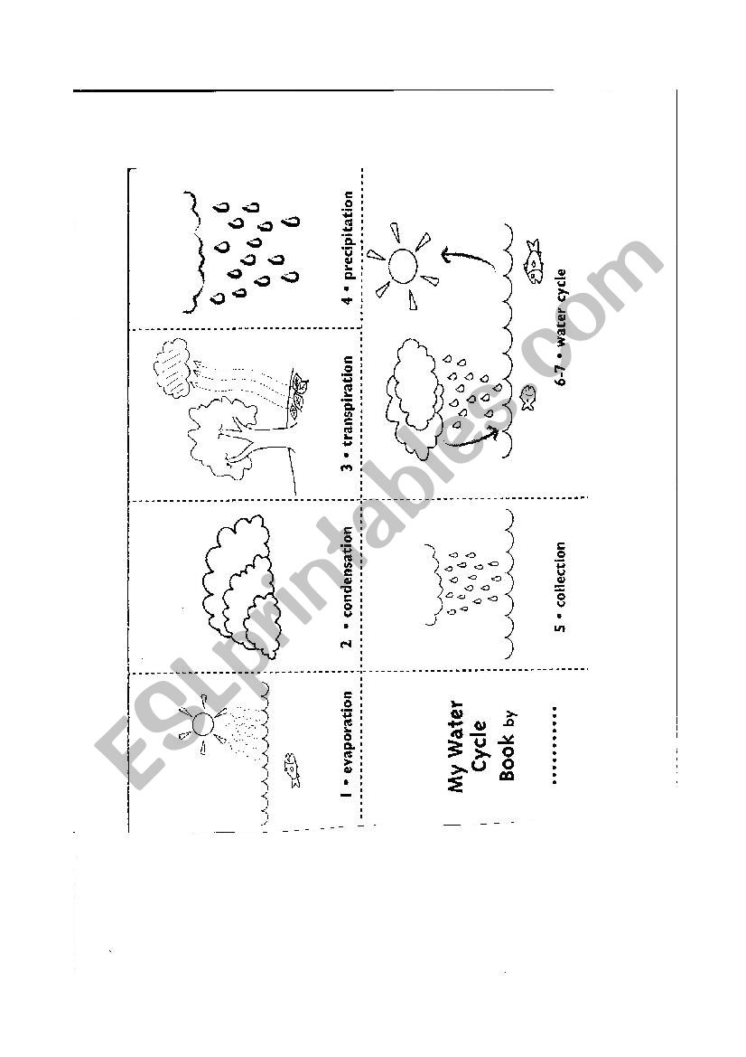 My Water Cycle book worksheet
