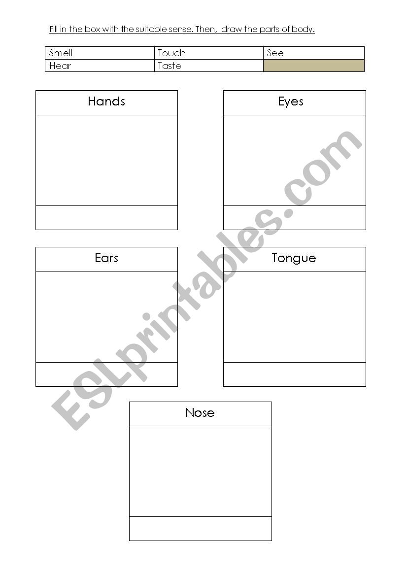 parts of body worksheet
