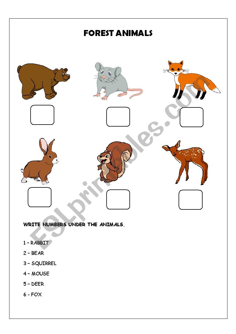 Forest animals worksheet