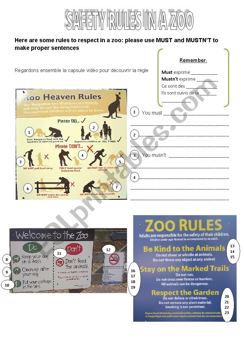 Rules in a zoo worksheet