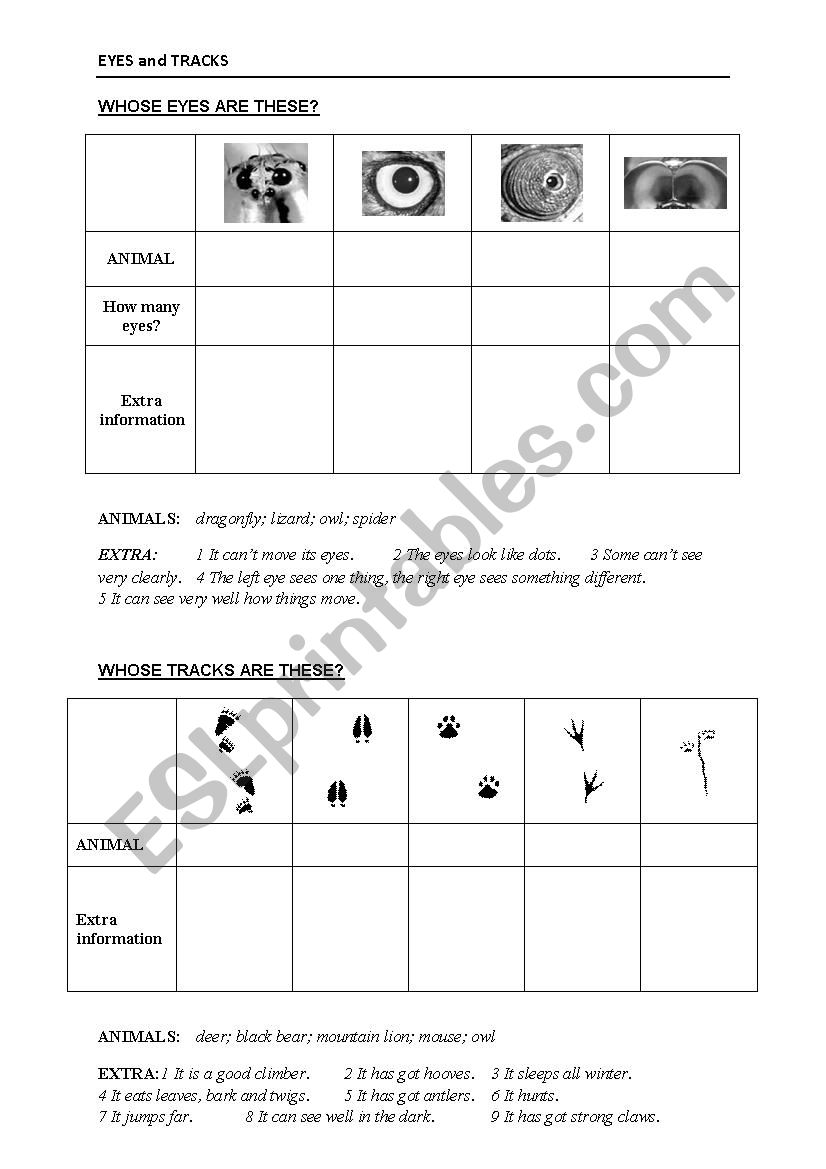 Eyes and tracks worksheet