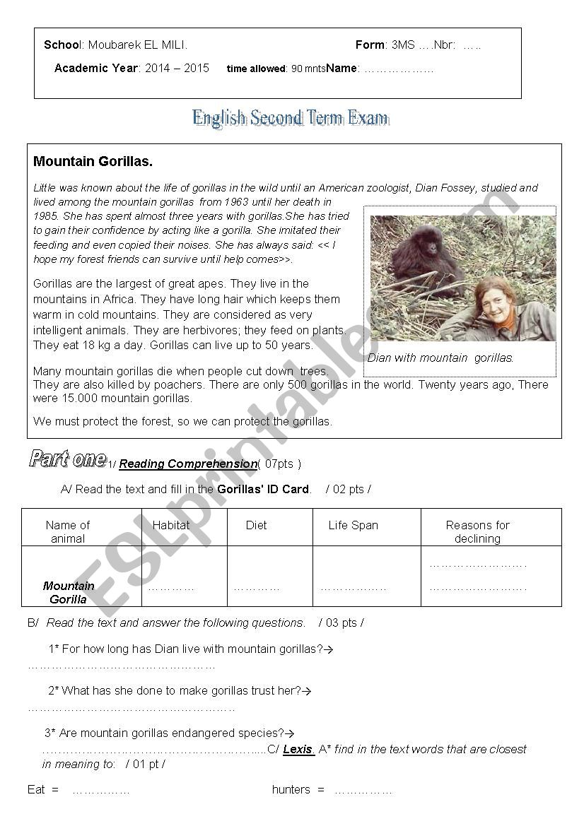 Mountain Gorillas worksheet