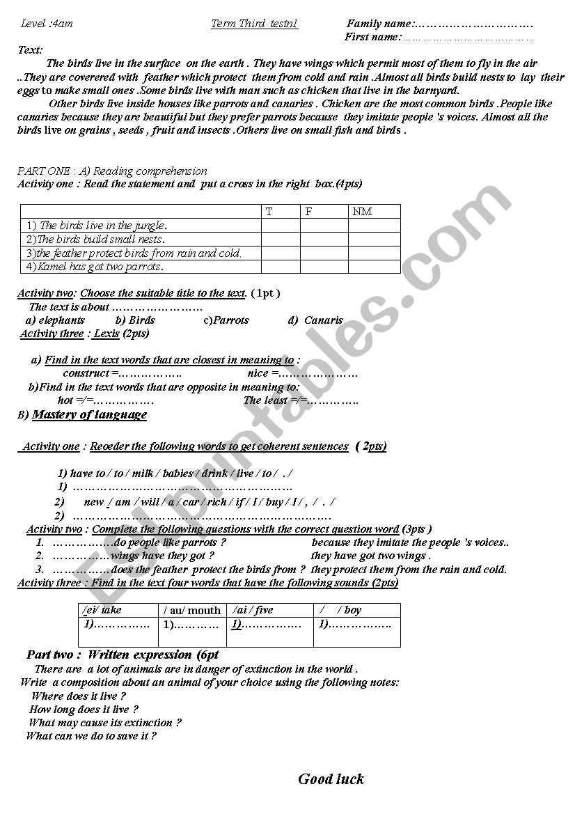 4 am exam  ( the birds) worksheet