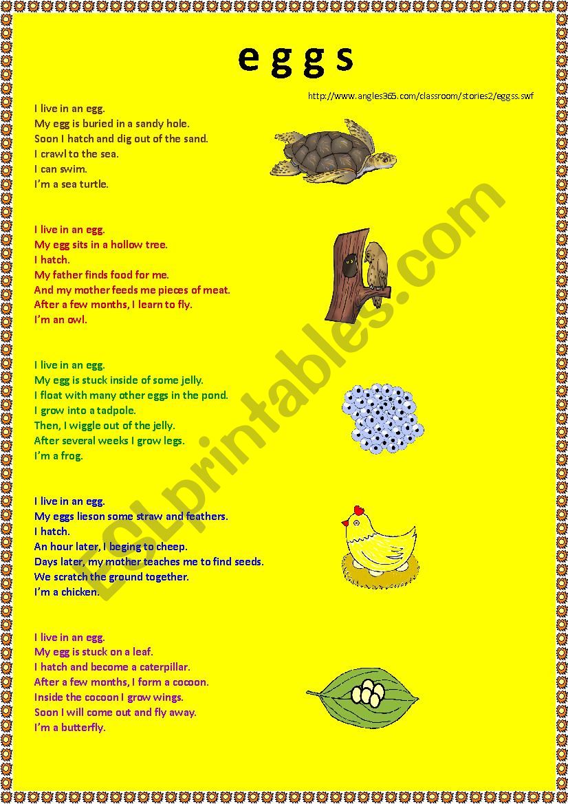 Eggs worksheet