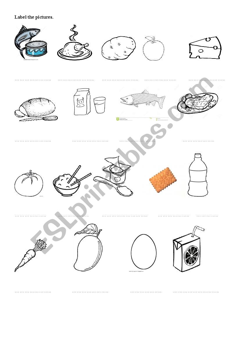 Food worksheet