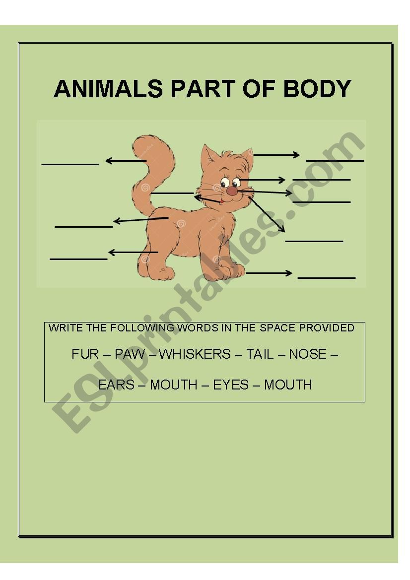 animals part of body worksheet