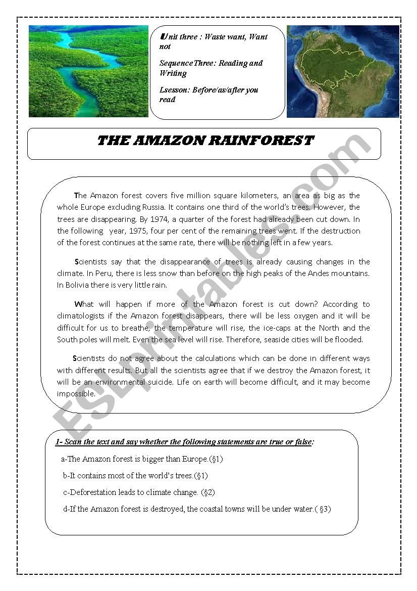 Amazon Rainforest worksheet